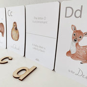 realistic animal alphabet flashcards - Rainbow Sprout Baby Company