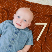 modern wooden milestone numbers - Rainbow Sprout Baby Company